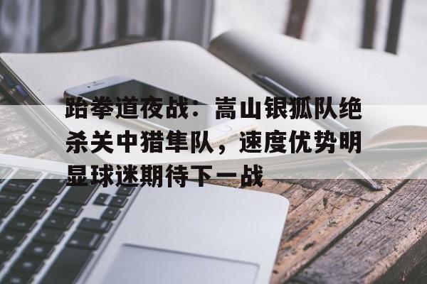 跆拳道夜战：嵩山银狐队绝杀关中猎隼队，速度优势明显球迷期待下一战的简单介绍
